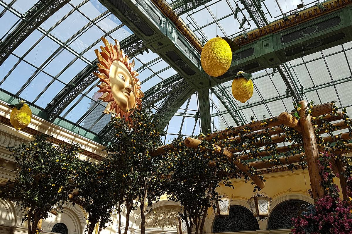 Floral display inside the Bellagio Conservatory and Botanical Gardens